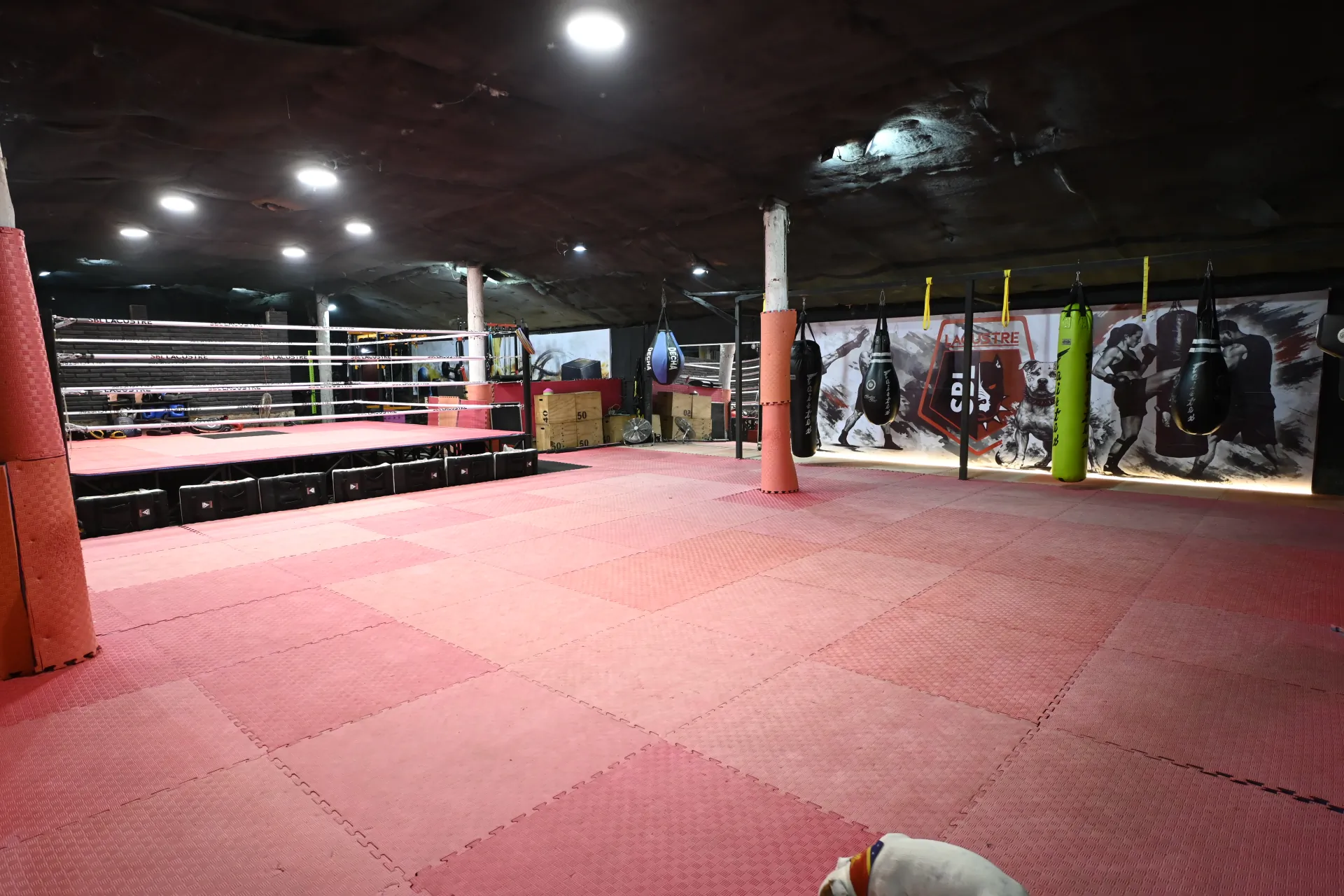 Tatami SBL